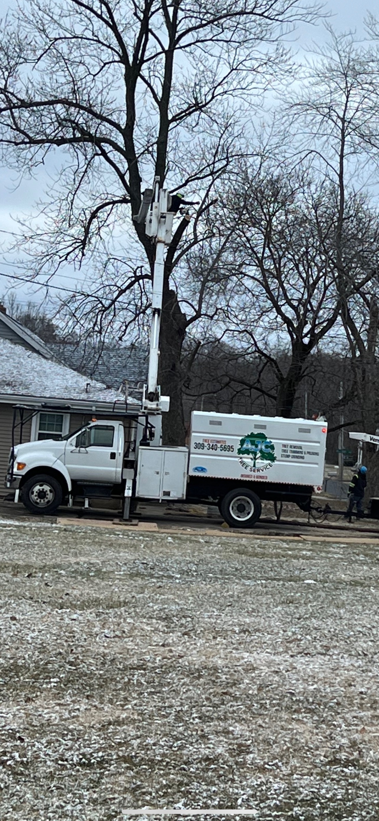 Tree service truck with bucket lift parked near bare trees in winter