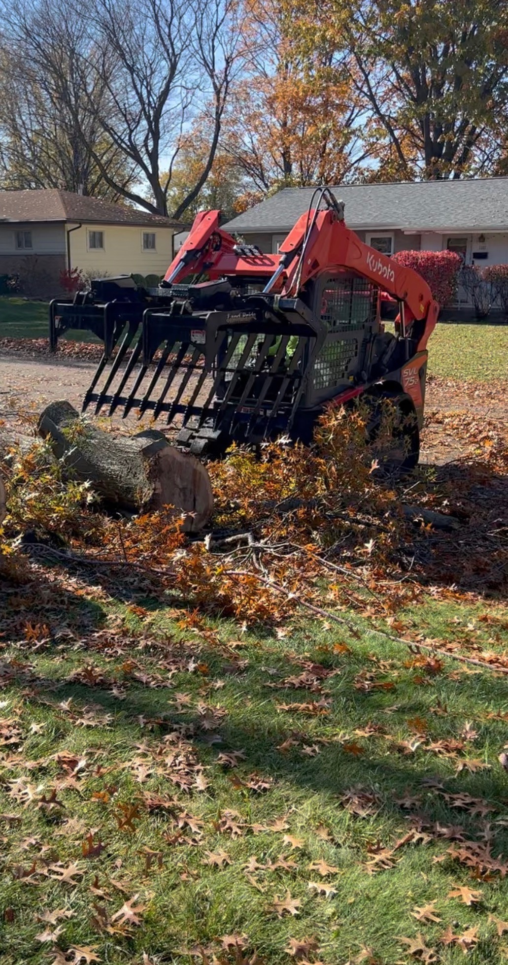 Red Kubota skid-steer loader clearing fallen tree during autumn yard work